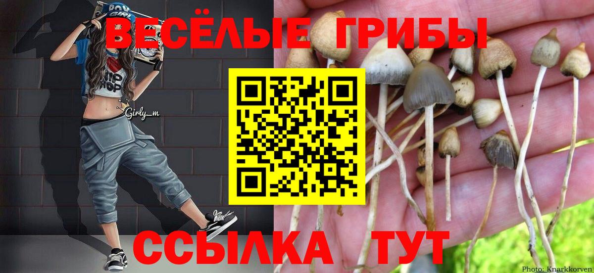 Псилоцибиновые грибы ЛСД  купить  сайты  Курчатов  Вход с VPN  Псилоцибиновые грибы прущие грибы 